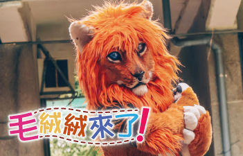 毛絨絨來了-02 毛絨絨來了-02